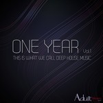 cover: Various - One Year Vol 1 (This Is What We Call Deep House Music)