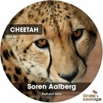 cover: Soren Aalberg - Cheetah