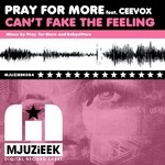 cover: Ceevox|Pray For More - Can't Fake The Feeling