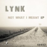 cover: Lynk - Not What I Meant EP