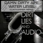 cover: Damn Dirty Ape - Waterlevel