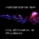 cover: Flubah|K I|Stam - Ascending