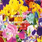 cover: Wankelmut|Various - Wankelmoods Vol 1