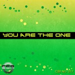 cover: Dj Pro Basic - You Are The One