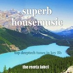 cover: Various|Paduraru - Superb Housemusic (Top Deeptech Tunes In Key Bb) (unmixed tracks)