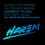 cover: Dirty Vegas|Ned Shepard|Sultan|Thomas Sagstad - Somebody To Love (remixes)