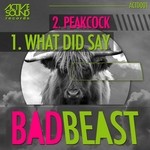 cover: Bad Beast - What Did Say