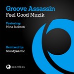 cover: Groove Assassin - Feel Good Muzik (remixes)