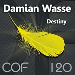 cover: Damian Wasse - Destiny