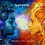 cover: Zymosis - Between Two Points