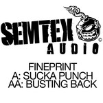 cover: Fineprint - Suka Punch