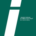 cover: Sebastian Radlmeier - Is It Me Or Is It You