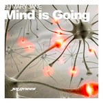 cover: Dj Mary Jane - Mind Is Going