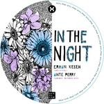 cover: Erhan Kesen - In The Night