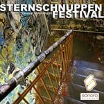 cover: Various - Sternschnuppenfestival