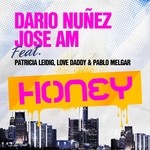 cover: Jose Am|Nunez, Dario|Patricia Leidig & Love Daddy & Paul Melgar - Honey