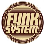 cover: Funk The System - Terapeutica Do Grito