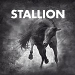 cover: Stallion - Stallion Session #1