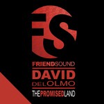 cover: David Del Olmo - The Promised Land