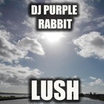 cover: Dj Purple Rabbit|Trish - Lush