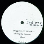 cover: Dj Nature - Foggy Monday Morning