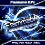 cover: Flammable Dj's - Unity