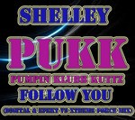 cover: Shelley - Follow You