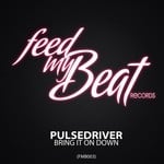 cover: Pulsedriver - Bring It On Down (remixes)