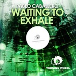 cover: Pablo Caballero - Waiting To Exhale