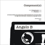 cover: Angelo B - Component(s)