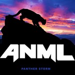 cover: Anml - Panther Storm