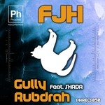 cover: Fjh - Gully