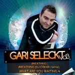 cover: Gari Seleckt - Vol 3