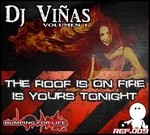 cover: Dj Vinas - The Roof Is On Fire