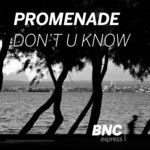 cover: Promenade - Don't U Know