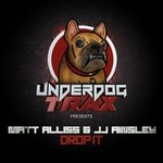 cover: Matt Alliss & Jj Ainsley - Drop It