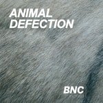 cover: Animal Defection - Donkey