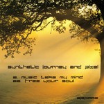 cover: Pixel|Synthetic Journey - Music Take Your Mind