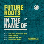 cover: Future Roots - In The Name Of EP