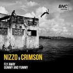 cover: Nizzo|Crimson - Fly Away