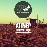 cover: Alinep - Groove Lingo