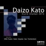 cover: Daizo Kato - Muzik Shaman 2013