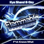 cover: Ozy|Shand, Kye - F*ck Knows What