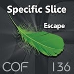 cover: Specific Slice - Escape