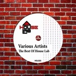 cover: Various - The Best Of House Lab