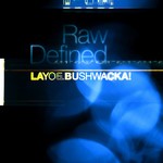 cover: Layo&bushwacka - Raw Defined