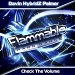 cover: Davin Palmer - Check The Volume