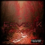 cover: Ervin K - Enchanted