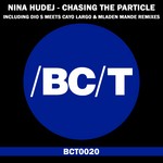 cover: Nina Hudej - Chasing The Particle