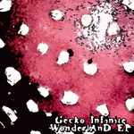 cover: Gecko Infinite - Wonderland